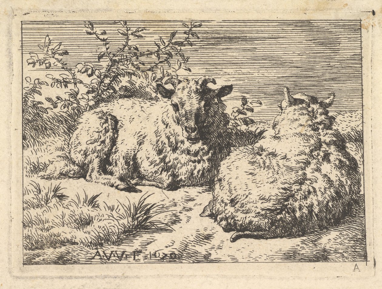 Dois Carneiros Recostados, 1670. de Adriaen van de Velde