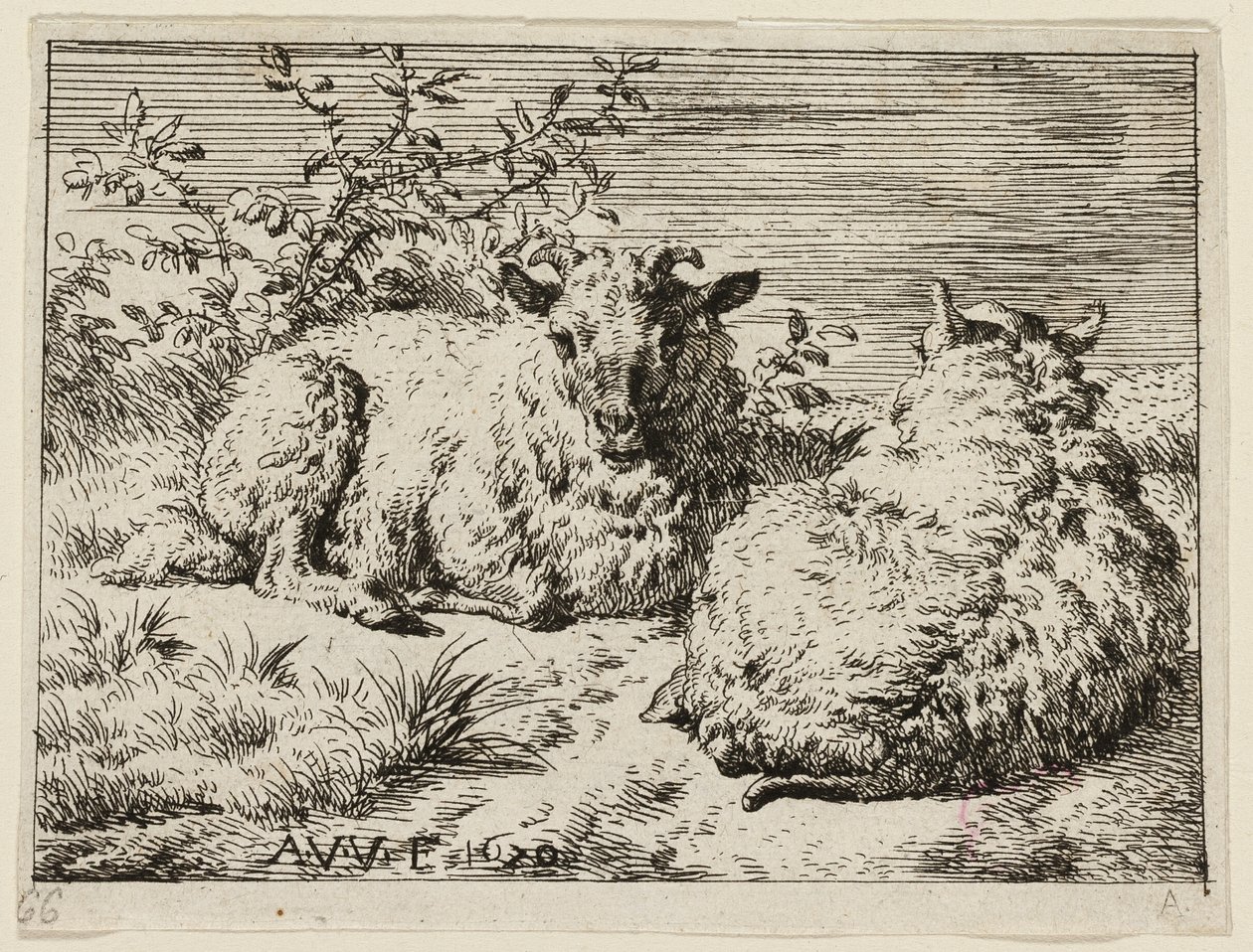 Duas ovelhas de Adriaen van de Velde