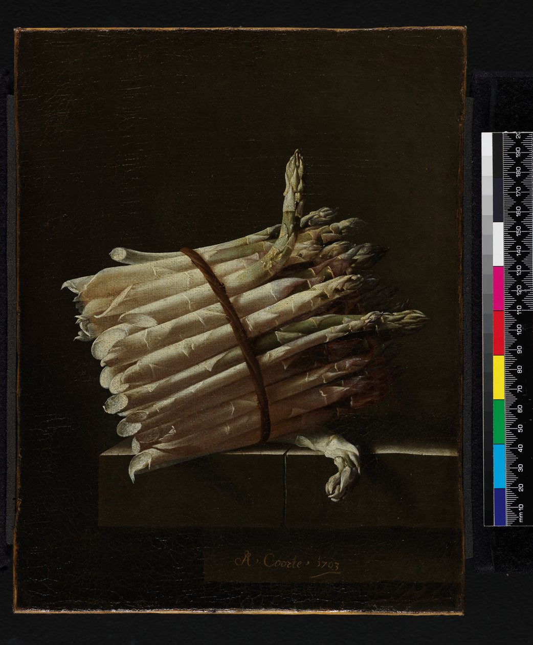 Bando de Espargos, 1703 de Adrian Coorte