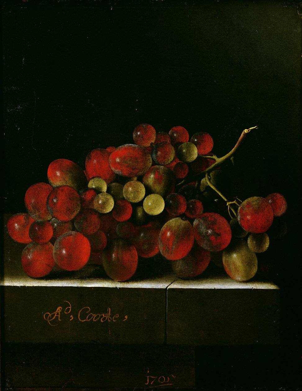 Cacho de Uvas, 1705 (óleo sobre papel no painel) de Adrian Coorte