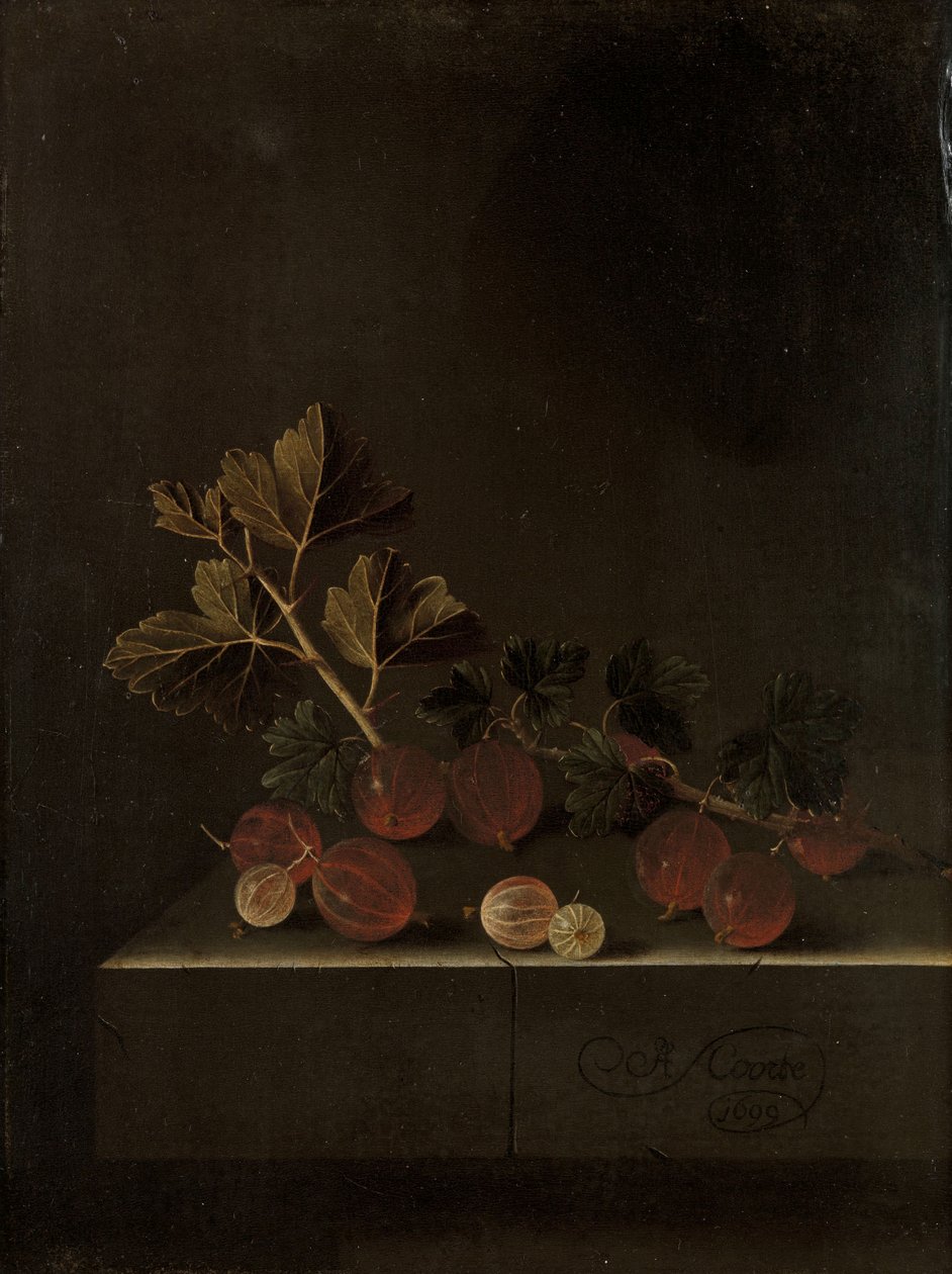 Um raminho de groselhas em um plinto de pedra, 1699 de Adrian Coorte