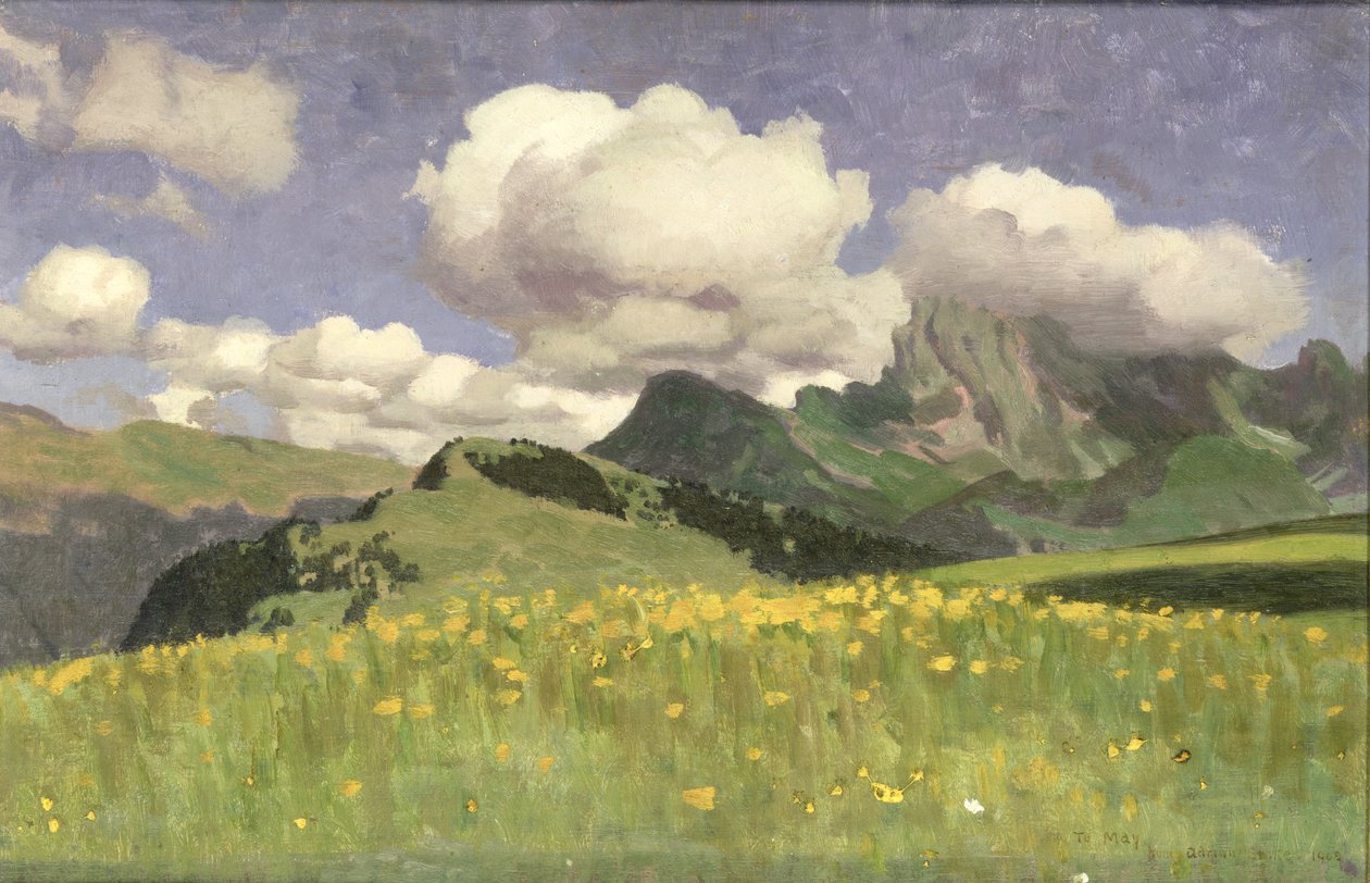 Um campo de malmequeres, Lower Alps, 1902 de Adrian Scott Stokes