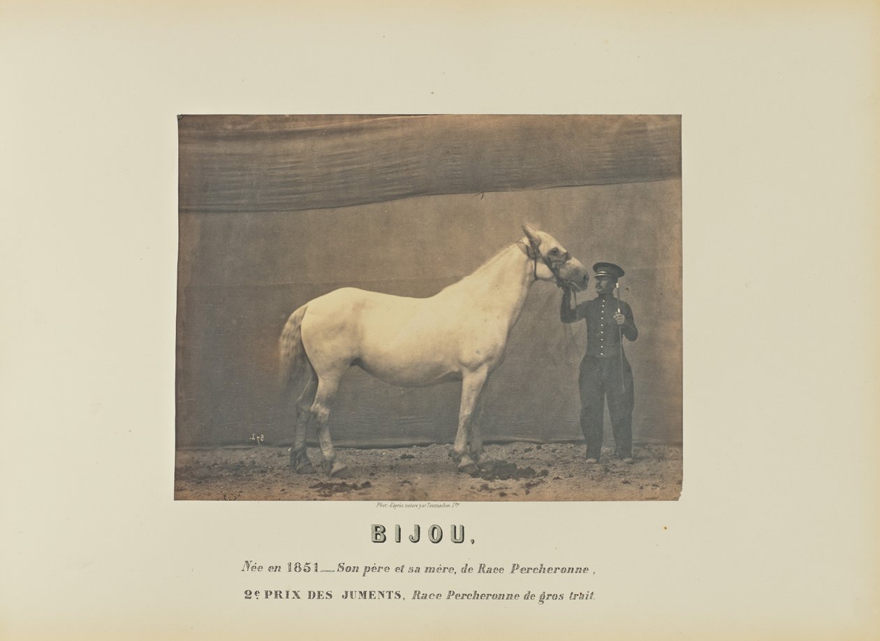 Bijou de Adrien Alban Tournachon