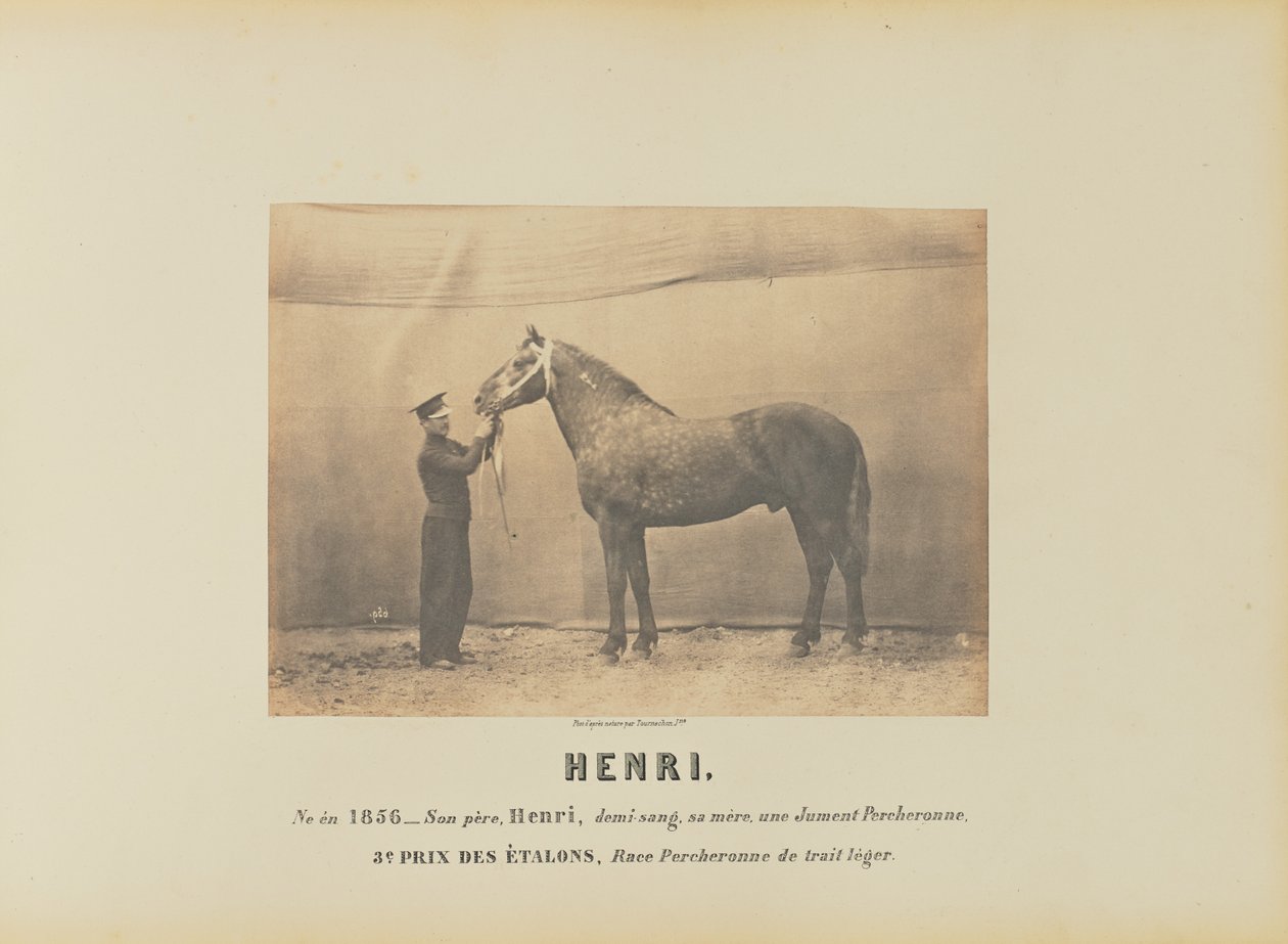 Henrique de Adrien Alban Tournachon