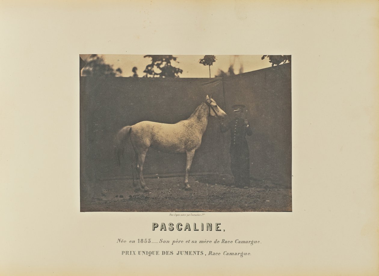 Pascalina de Adrien Alban Tournachon