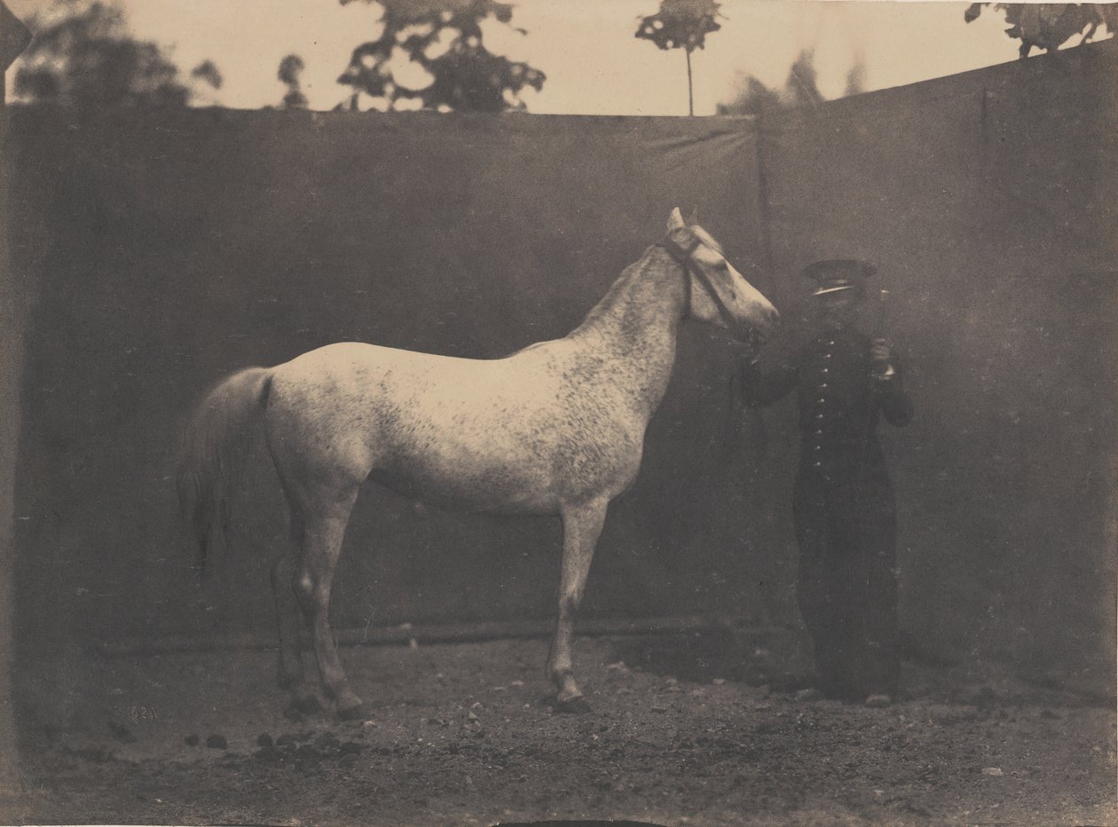 Pascalina, c. 1855-60. de Adrien Alban Tournachon