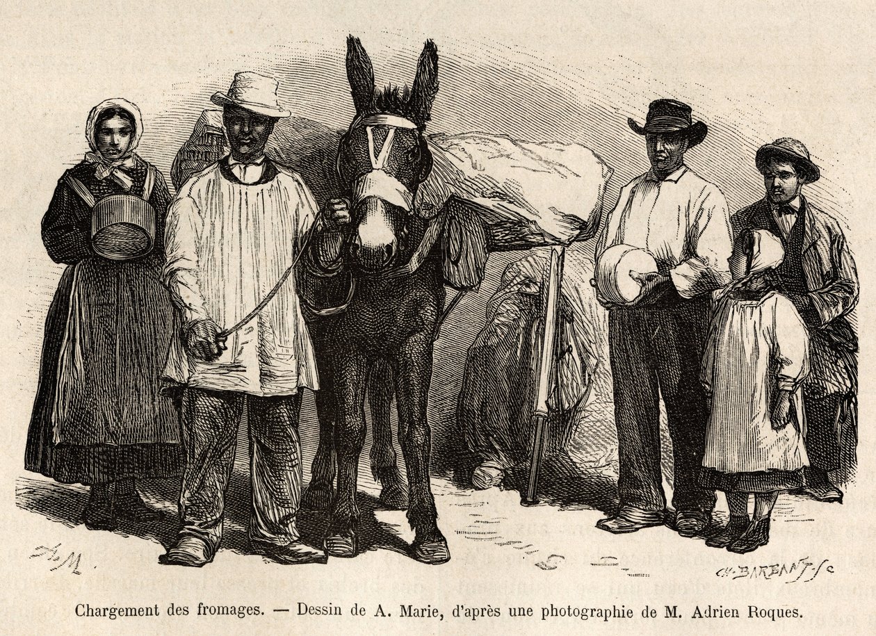 O carregamento de queijos nas costas de uma mula, em direcção às caves de Roquefort, gravado após um desenho de A.Marie, ilustrando uma viagem ao Roquefort e arredores, de Adrien Roques e Jules Charton, em 1874, publicado em "Le tour du monde". de Adrien Emmanuel Marie