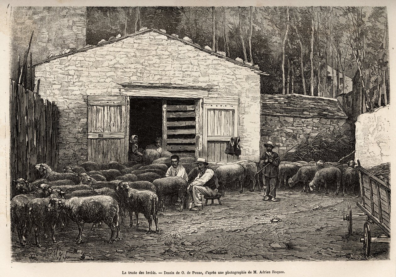 O comércio de ovelhas, todo o pessoal da fazenda foi empregado nesta tarefa, menino, criado, sob a supervisão do pastor, gravando após um desenho de A.Marie, ilustrando uma viagem a Roquefort e seus arredores, de Adrien Roques e Jules Charton, de Adrien Emmanuel Marie