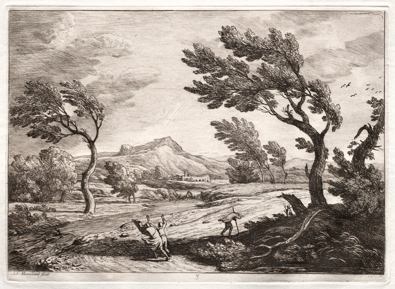 Panorama. de Adrien Manglard