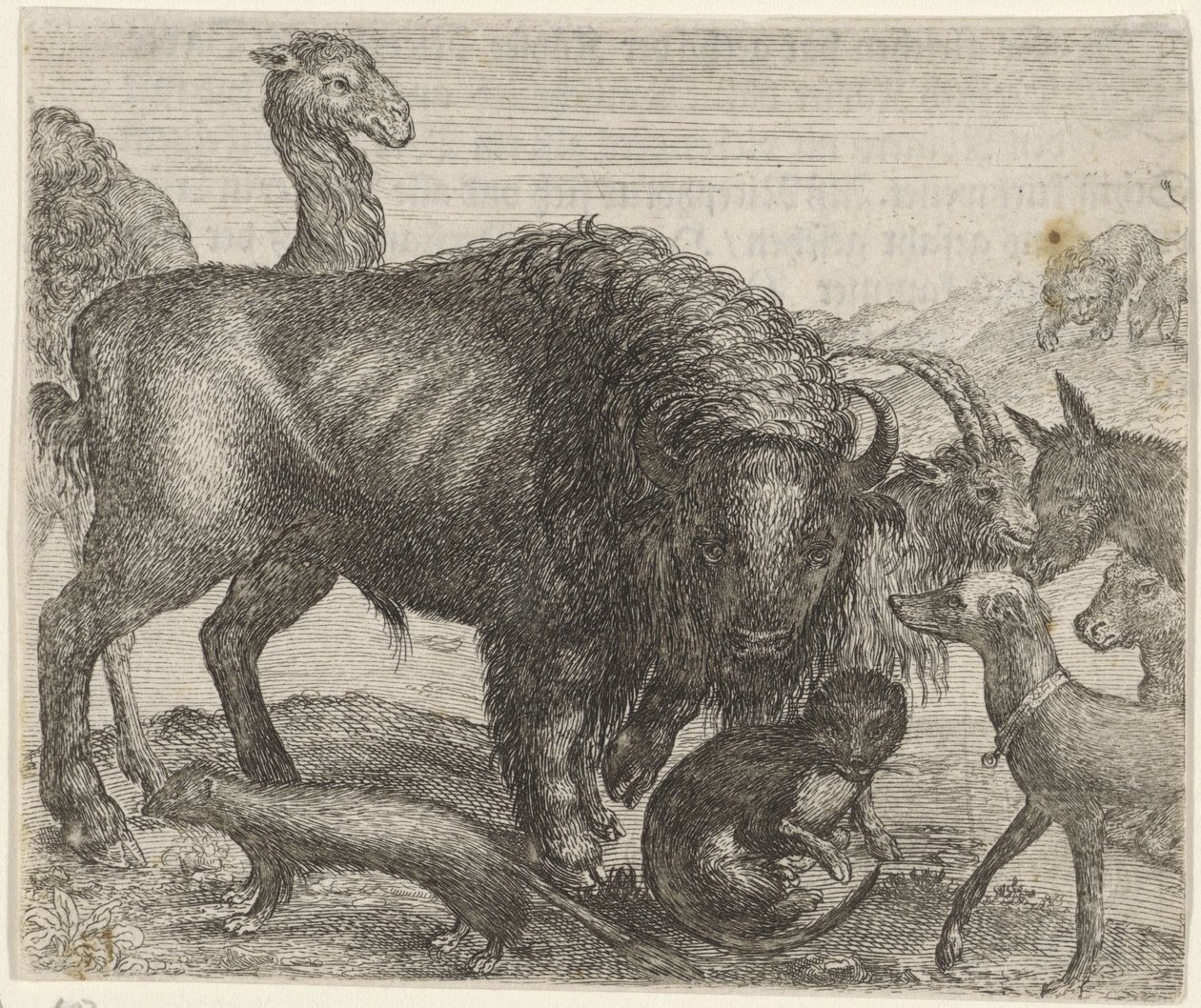 Fábula do bisonte e dos outros animais de Egidius  Sadeler (II)