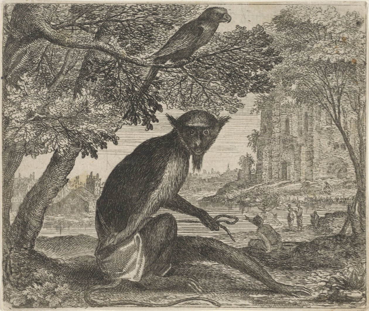Fábula do Papagaio e do Macaco de Egidius  Sadeler (II)