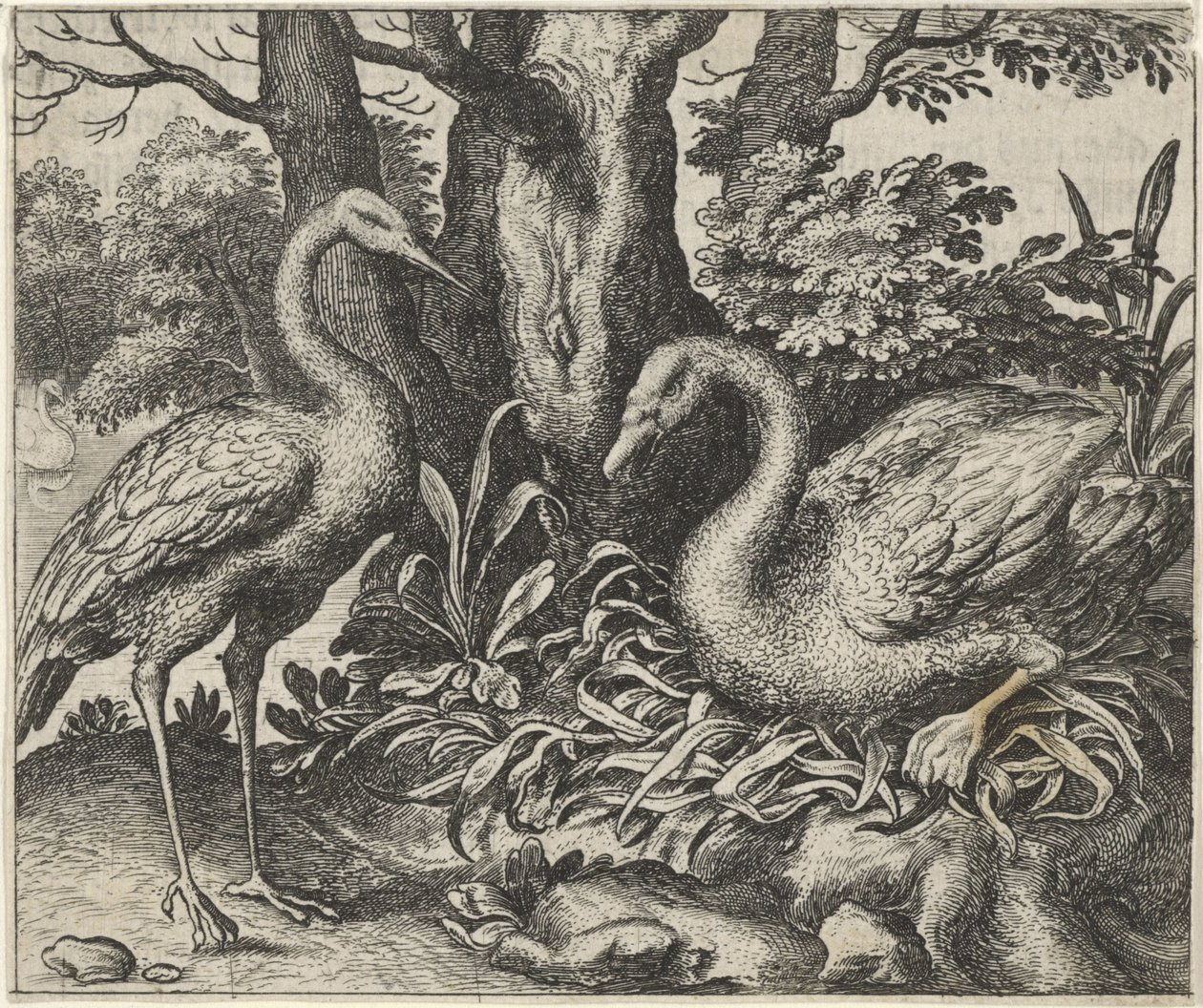 Fábula do cisne e da cegonha de Egidius  Sadeler (II)