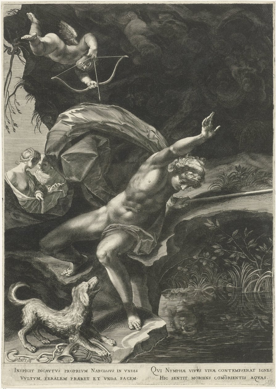 Narciso na Primavera
Hércules e Cerberus de Egidius  Sadeler (II)
