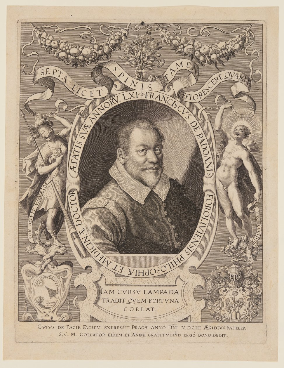 Franciscus de Padoanis Foroliviensis (Francisco de Forli) de Aegidius Sadeler II