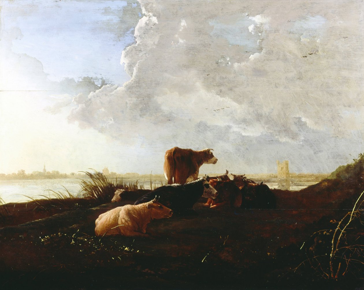 Gado perto de um rio de Aelbert Cuyp