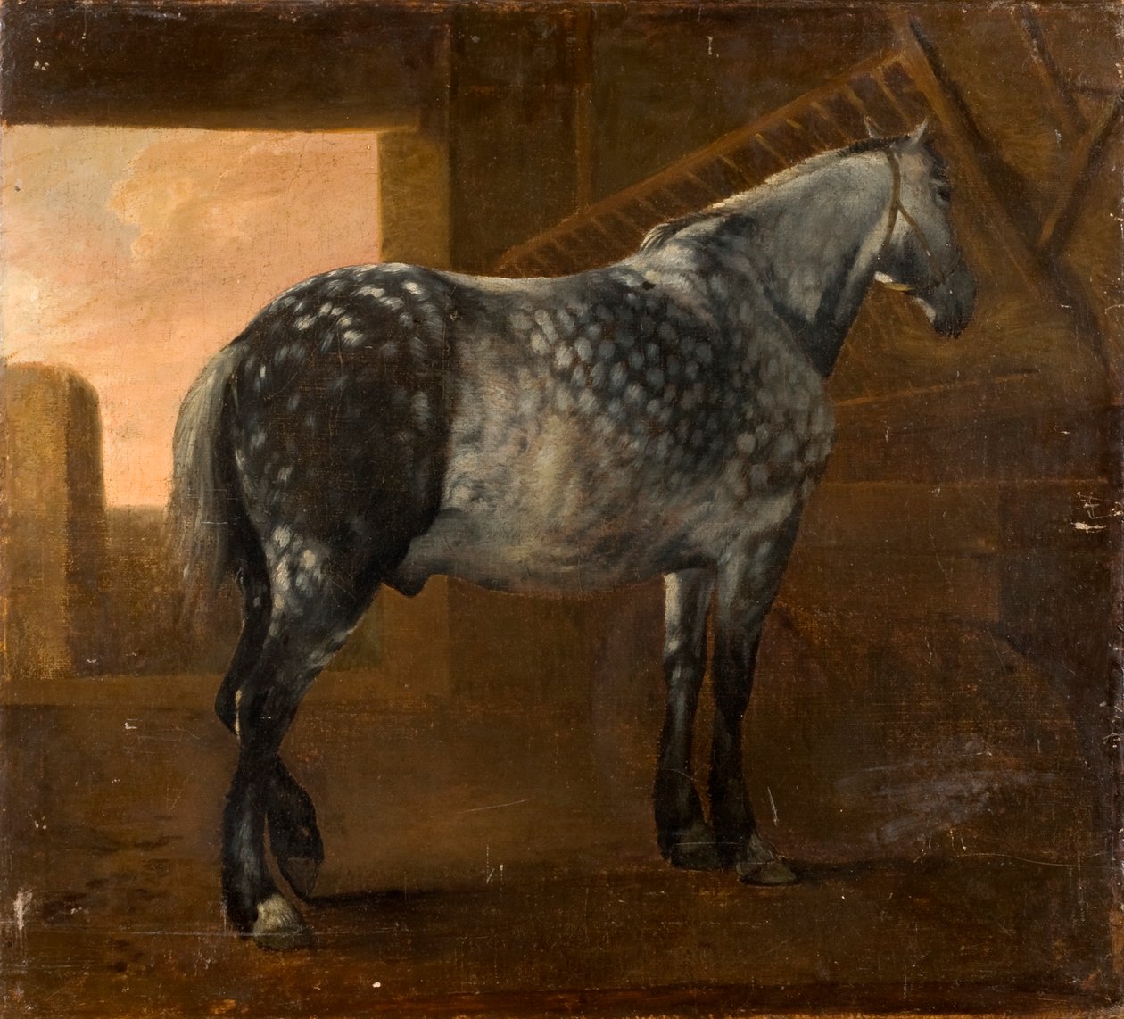 Um cavalo cinza Dapple de Aelbert Cuyp