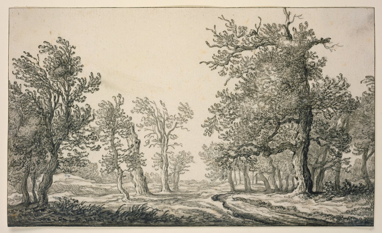 Trilho por uma floresta de carvalhos de Aelbert Cuyp