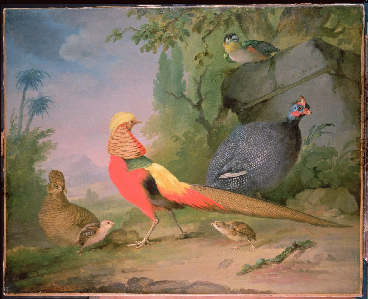 Aves selvagens de Aert Schouman