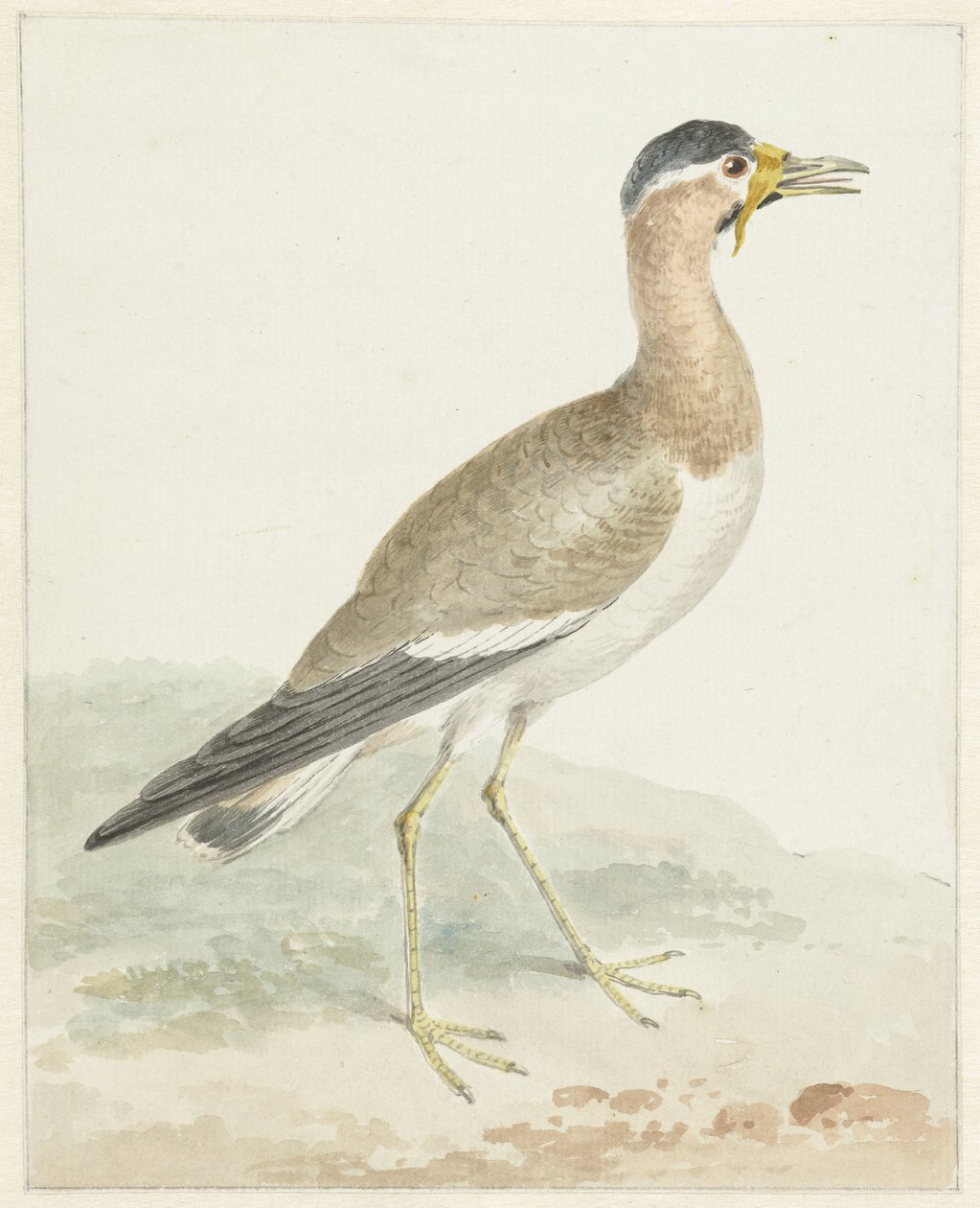 Um abibe de águas amarelas de Aert Schouman (possibly)