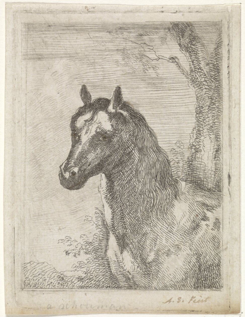 Cabeça de cavalo de Aert Schouman (signed by artist)