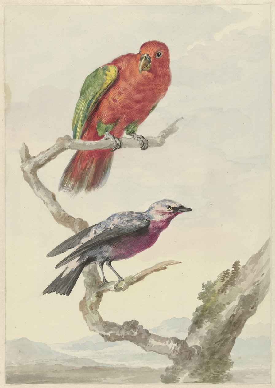 Dois pássaros, incluindo um papagaio vermelho-verde de Aert Schouman