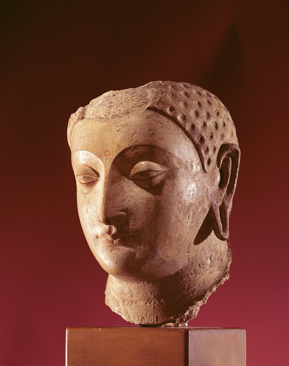 Cabeça de Buda, século c.5 (estuque com gesso e vestígios de tinta) de Afghan School