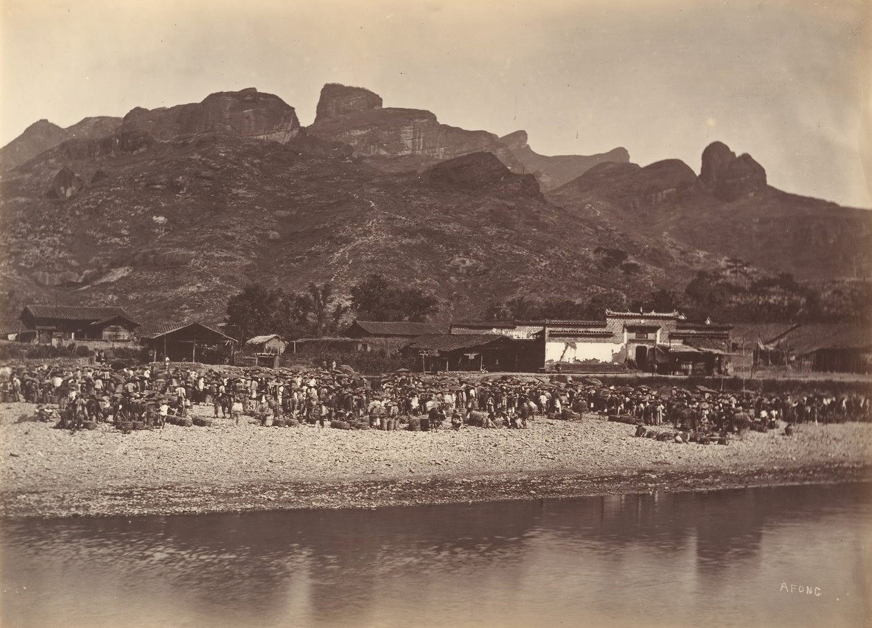 Mercado dos Patos, c. 1869. de Afong Lai