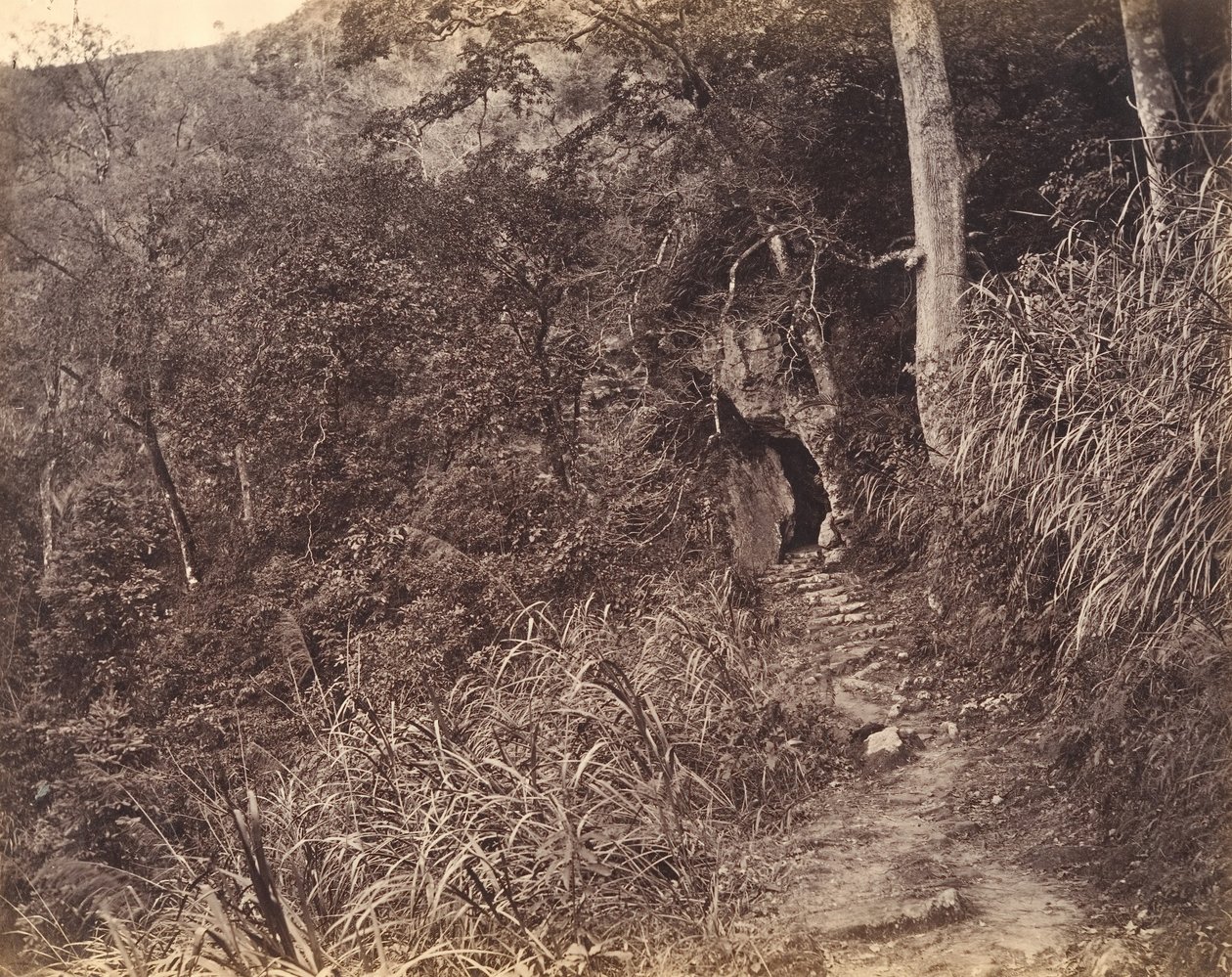 Estrada à esquerda até o Mosteiro de Yuen foo, ca. 1869. de Afong Lai