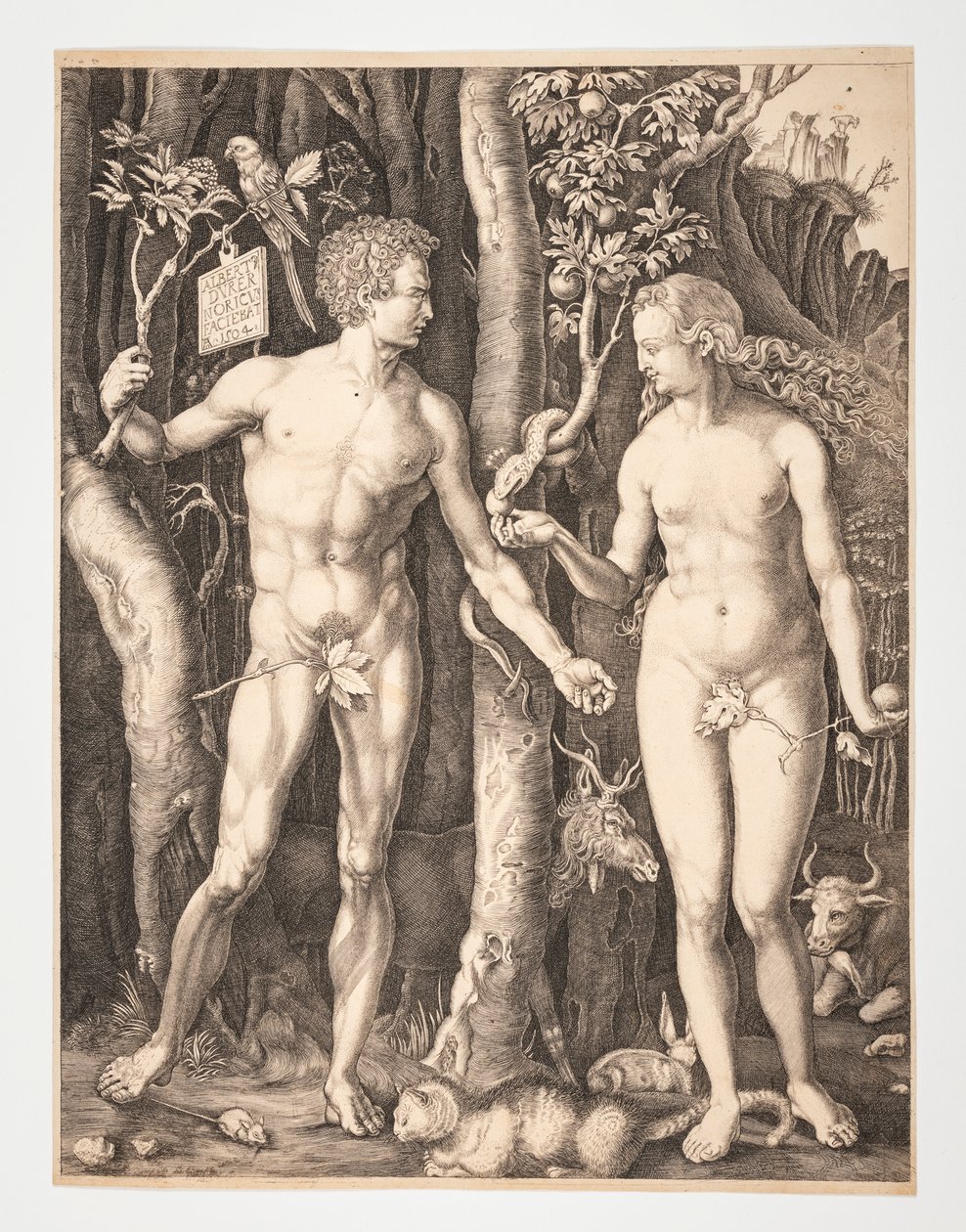 Adão e Eva no Jardim do Éden - Albrecht Durer - 20-1932-109 de After Albrecht Dürer