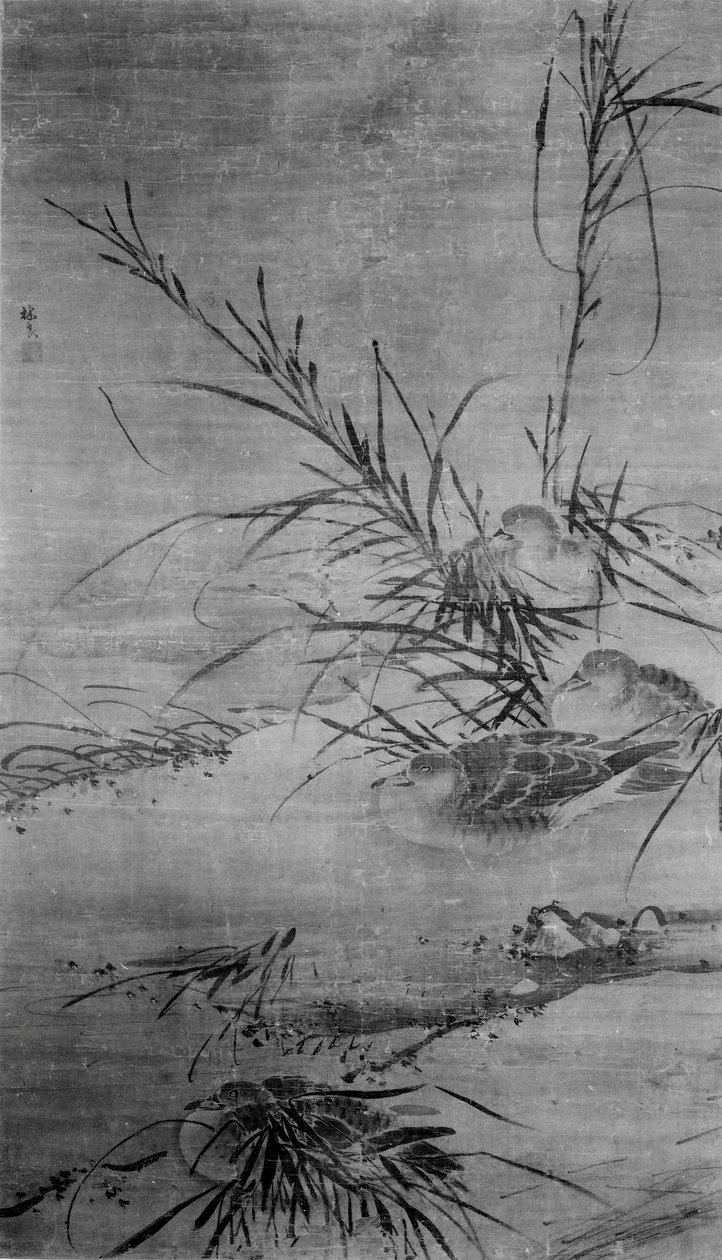 Patos e Reeds. de After Lin Liang