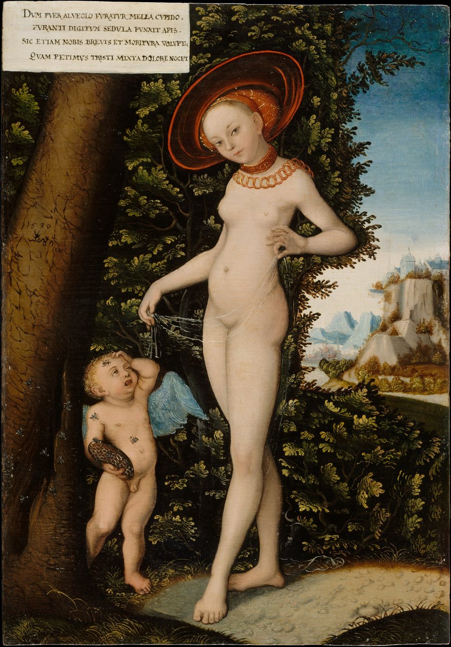 Vénus e Cupido, o ladrão de mel de after Lucas Cranach the Elder