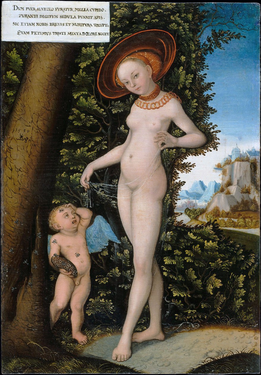 Vénus e Cupido, o ladrão de mel de after Lucas Cranach the Elder