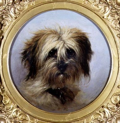 Uma cabeça de um Terrier (óleo a bordo) de Agnes Dundas
