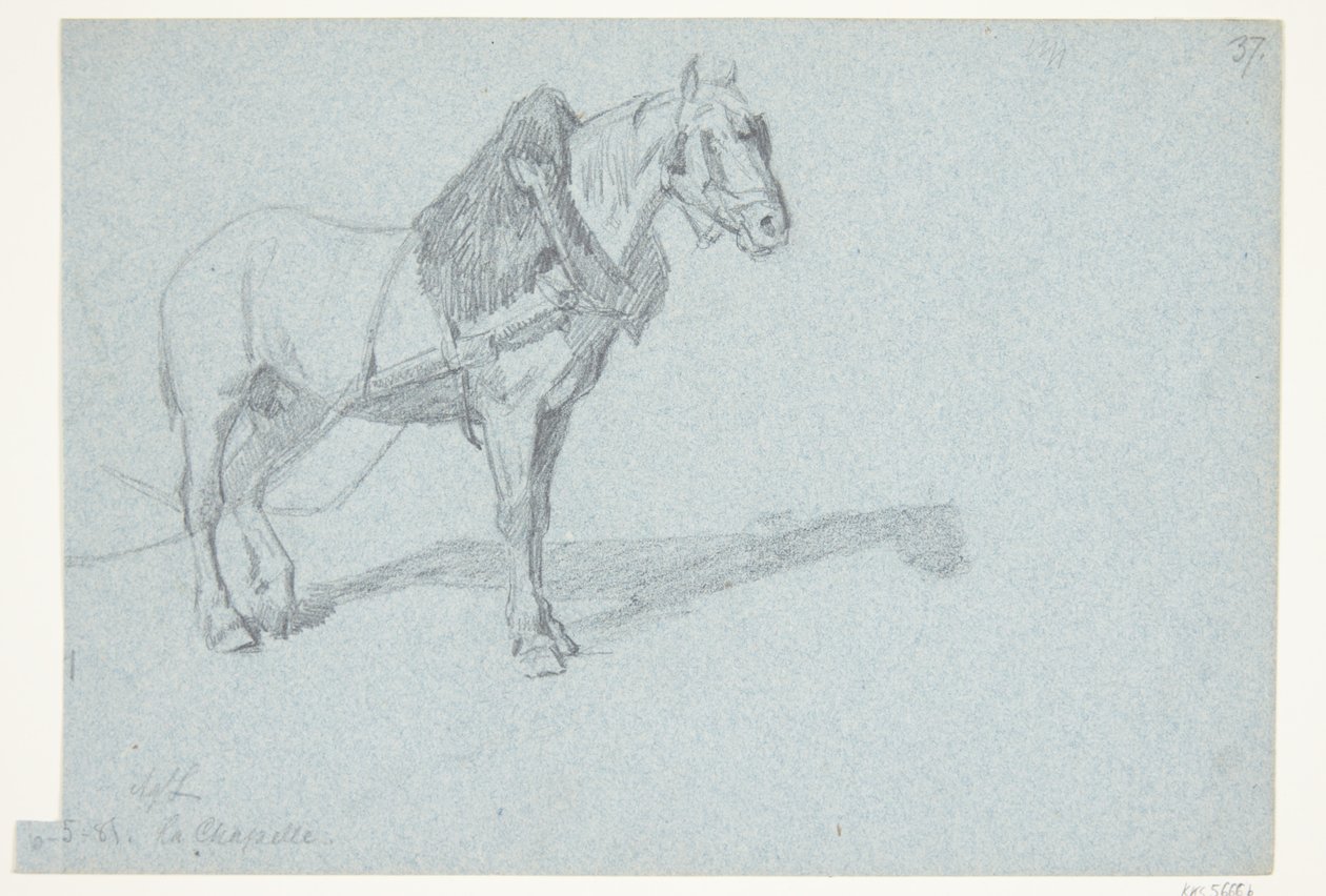 Um cavalo de Agnes Lunn