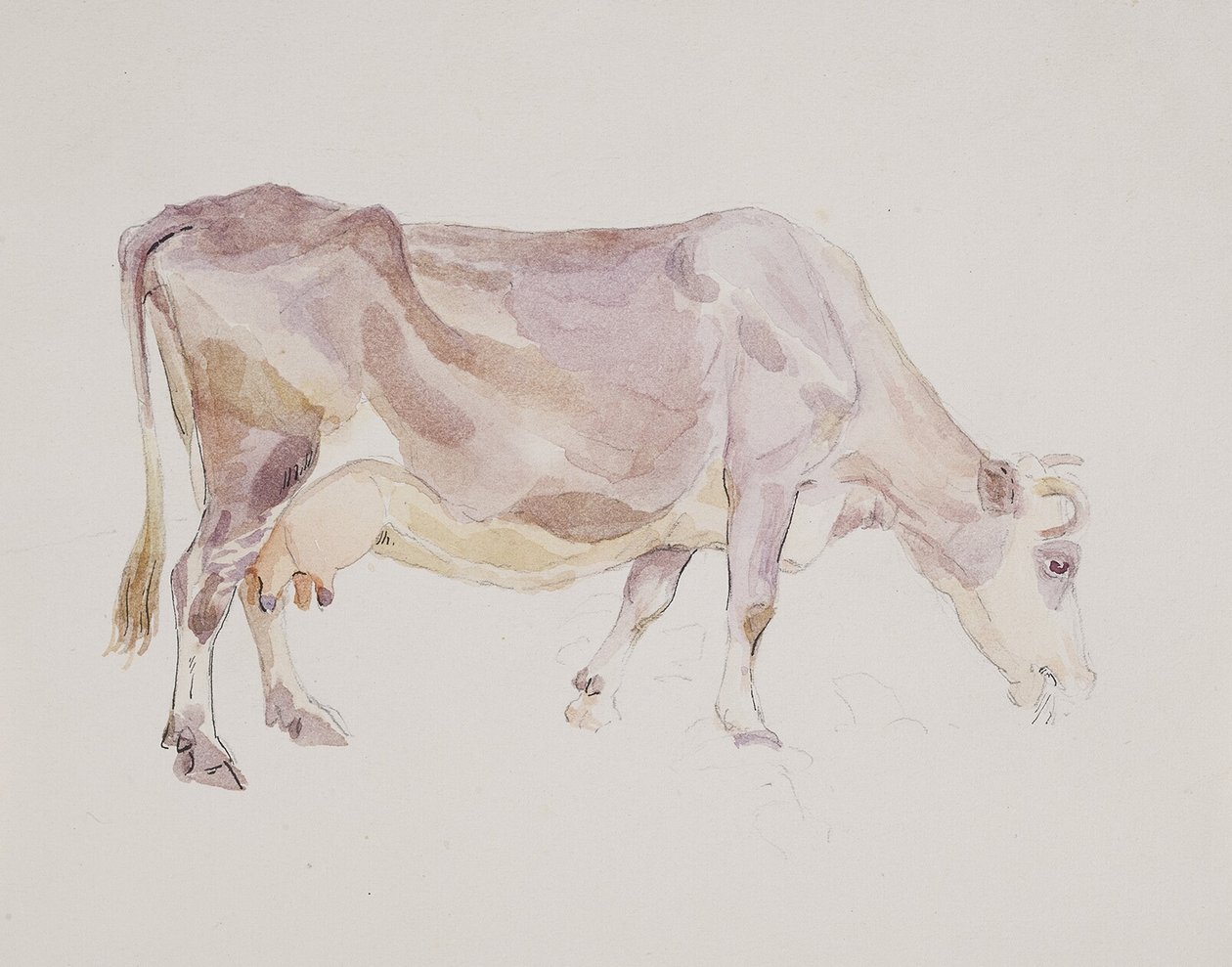 Vaca em pé de Agnes Lunn