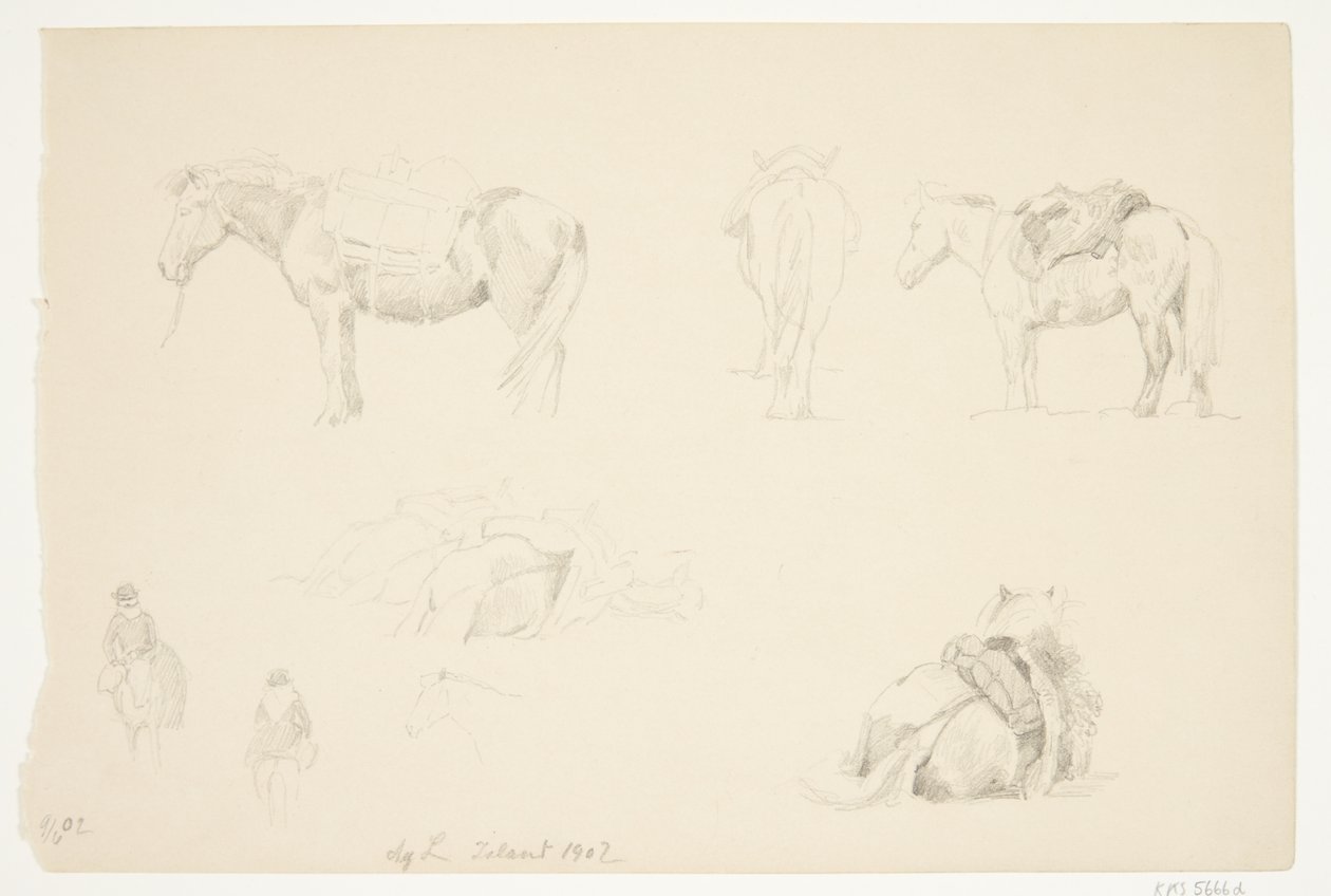 Revista de estudo com cavalos. de Agnes Lunn