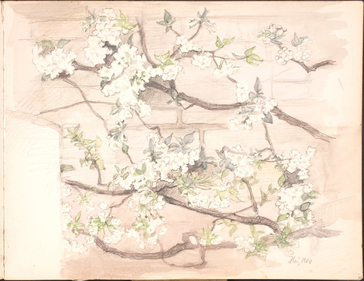 Caderno de rascunhos. julho de 1899 - junho de 1901 de Agnes Slott Møller