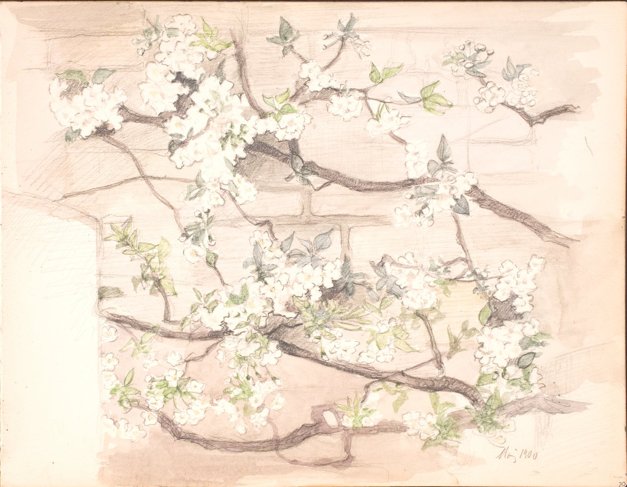 Flores de maçã de Agnes Slott Møller