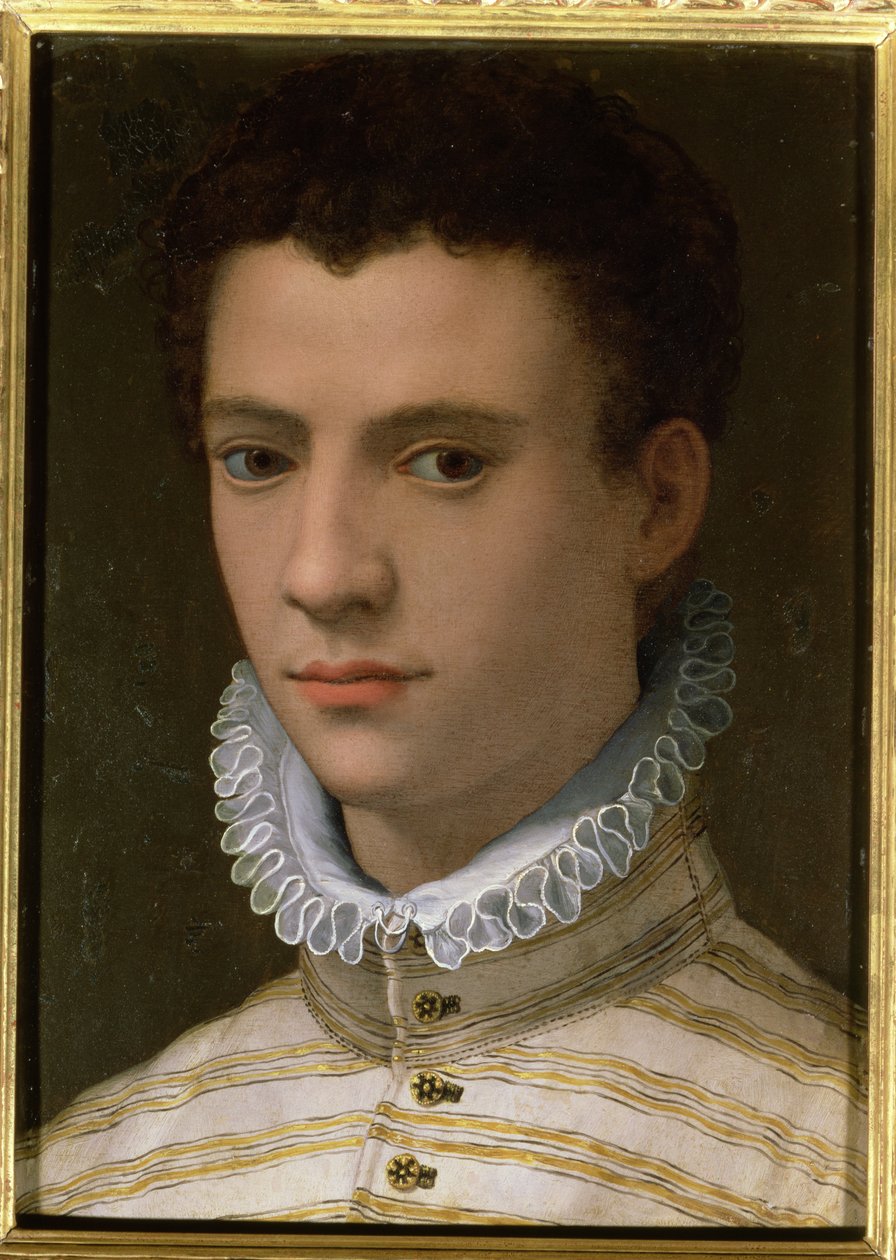 Retrato de um jovem (óleo em cobre) de Agnolo Bronzino