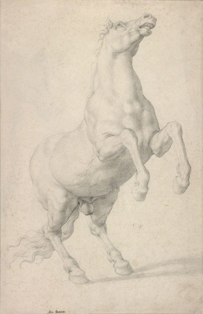 Cavalo de criação de Agnolo Bronzino