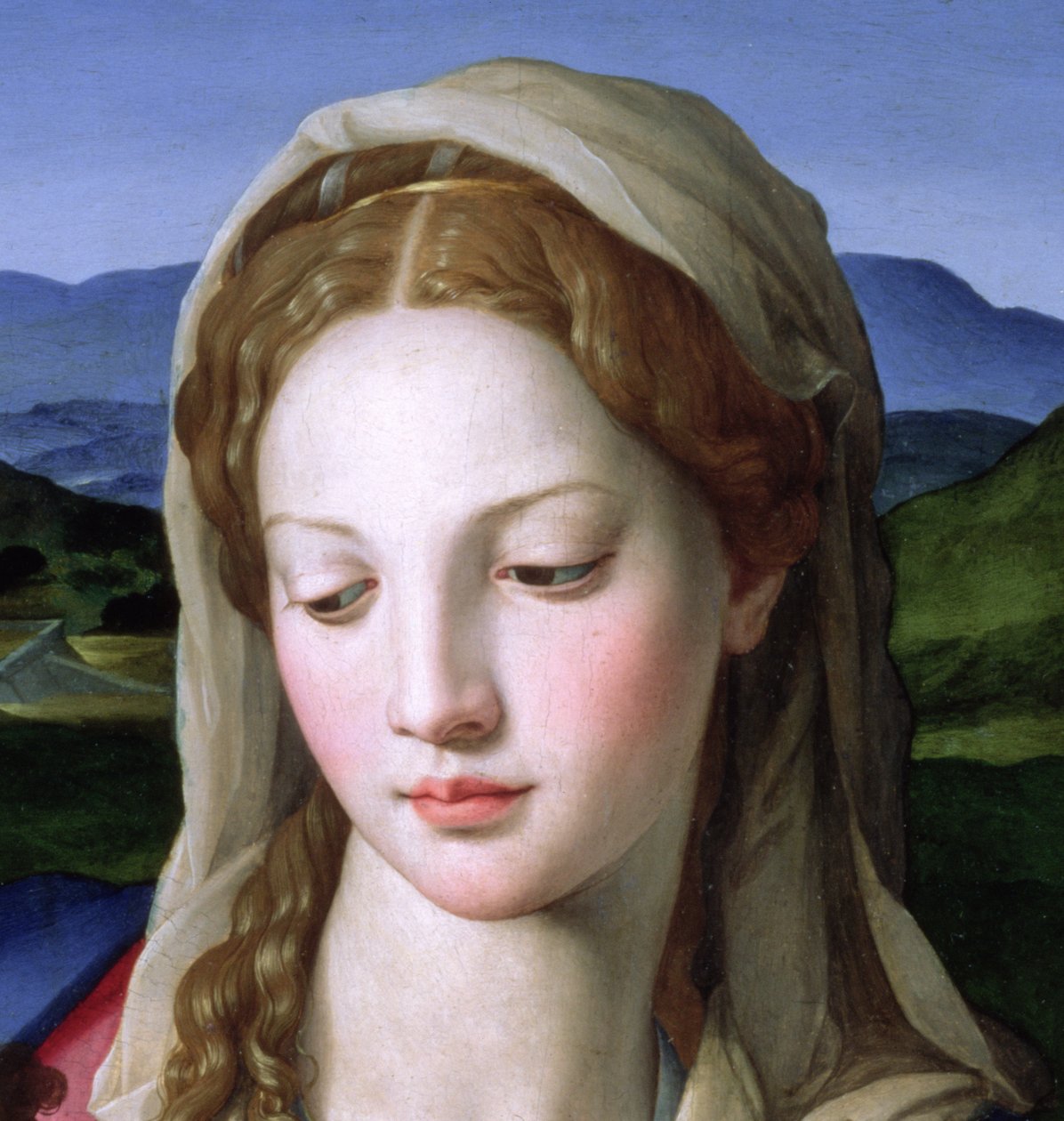Sagrada Família com Santa Ana e o infante São João Batista, óleo c.1550 no detalhe do painel de 82824 de Agnolo Bronzino