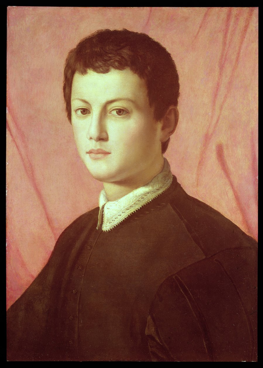 Retrato, de, um, homem jovem, (panel) de Agnolo Bronzino