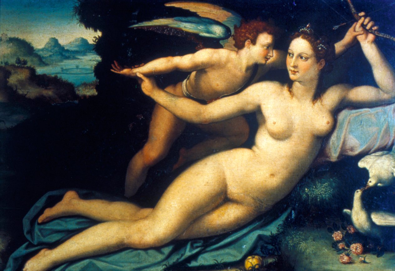 Vênus e Cupido, meados do século XVI de Agnolo Bronzino