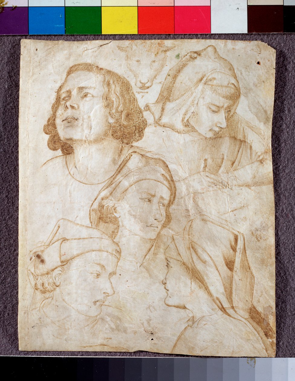 Cabeças (desenho de Agnolo Gaddi