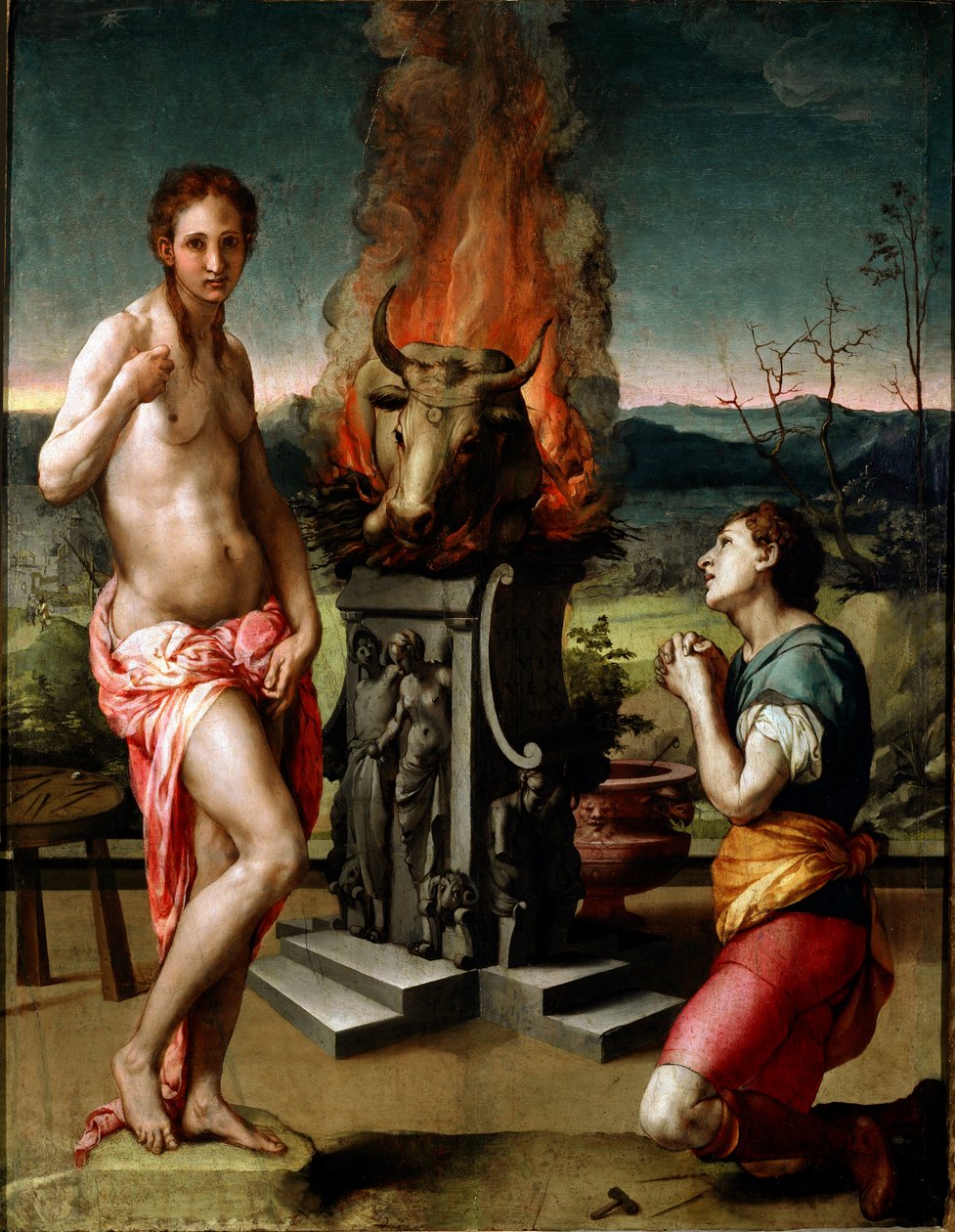 Pygmalion e Galatee (ou Galathee) Pintura de Agnolo di Cosimo di Mariano di Il Bronzino (1502-1572) 1529-1530 Sol. 81x63 cm Florença, Galeria Uffizi (Musee des Uffizi) de Agnolo Bronzino