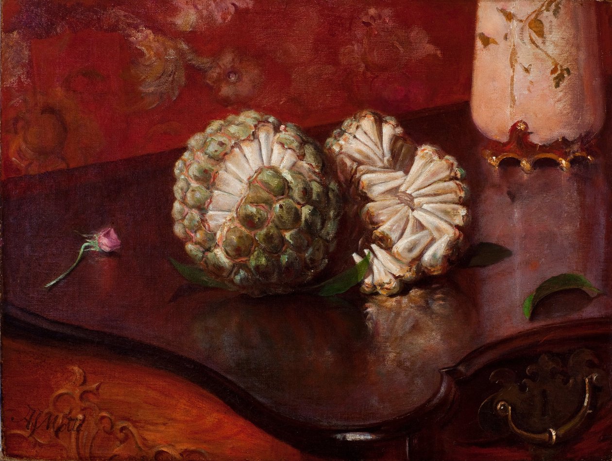 Sweetsop de Agostinhoda Motta