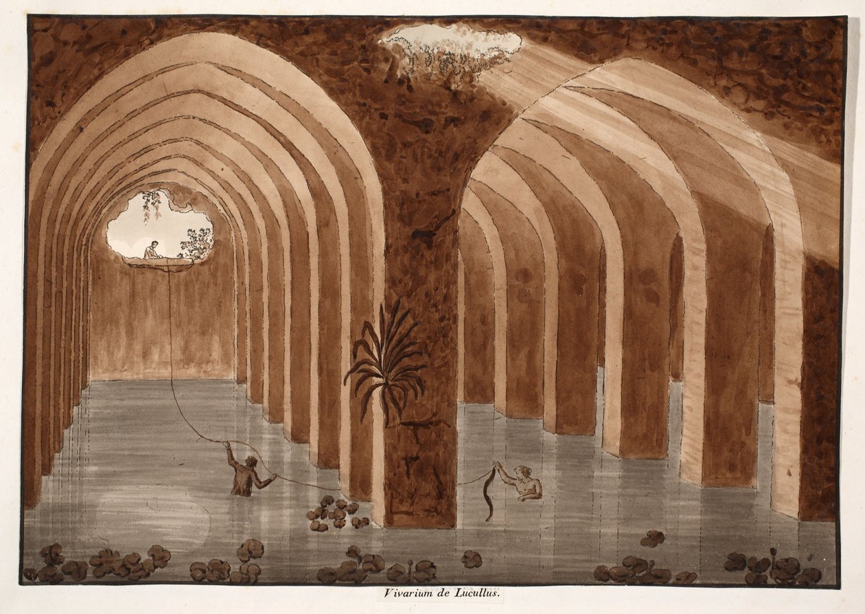 O Biotério de Lucullus, 1833 (gravura com lavagem marrom) de Agostino Tofanelli
