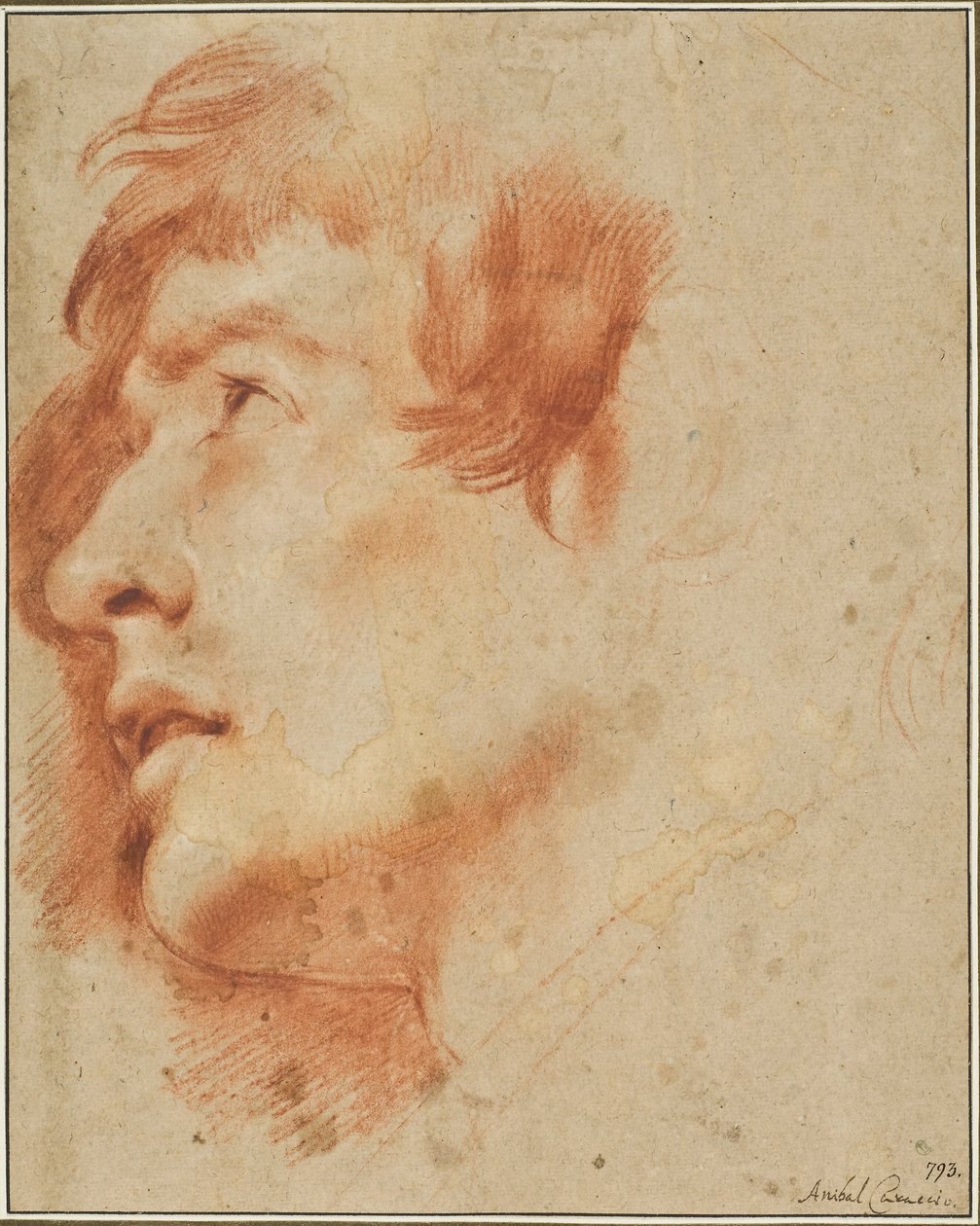 Cabeça de um jovem olhando para cima de Agostino Carracci