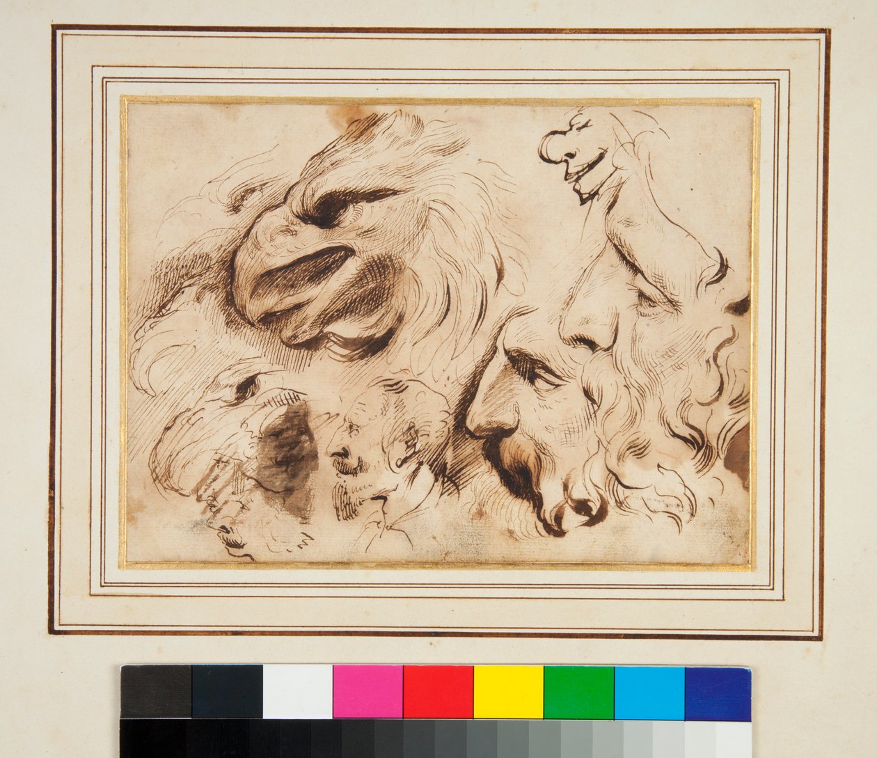 Folha de estudos com o chefe de uma águia e perfis e caricaturas masculinas (caneta e tinta marrom e um pouco de aguado) de Agostino Carracci