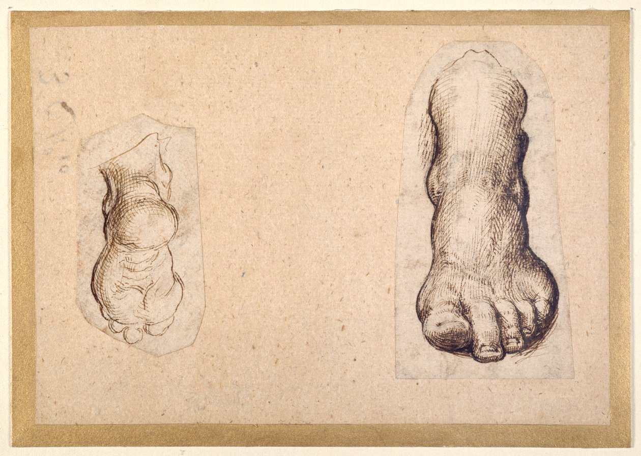 Dois estudos de um pé em previdência (caneta e tinta sobre papel) de Agostino Carracci